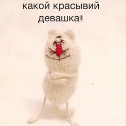 Котэ