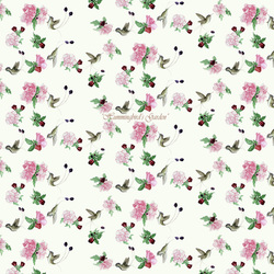 Hummingbird's Garden