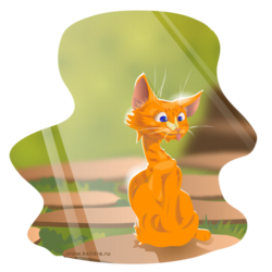 Котенок Нямнямхотеб изучает мир