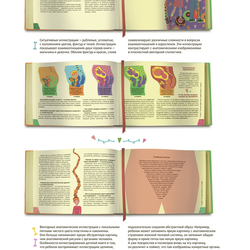 Дизайн-проект книги «Детям о сексе»