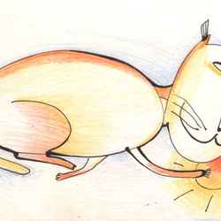 Солнечный кот