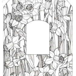 Оборочная иллюстрация "Нарциссы"