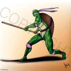 Turtle Ninja