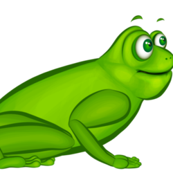  frog