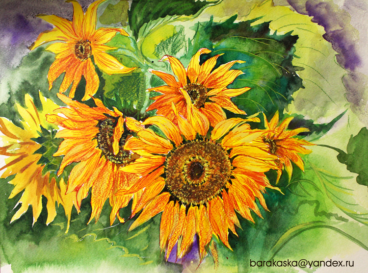 Sunflowers 2. Подсолнух ПВЗ 2. CD Подсолнухи 2. Подсолнух рисунок PNG. Плакат а2 Подсолнухи - 800558.