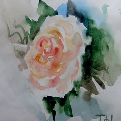 Набросок роза