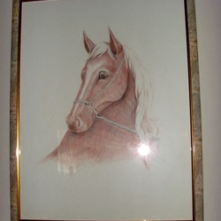 Символ года "Лошадь"