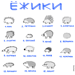 Ежики