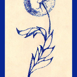 dandelion