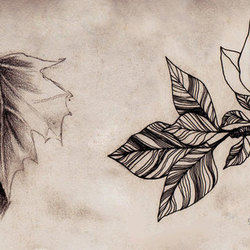 Leaves. Realistic and decorative