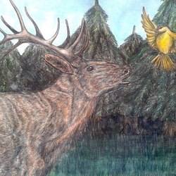 Знакомство