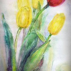 Тюльпаны