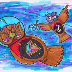 Совы в космосе