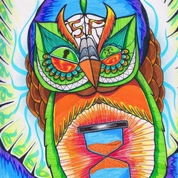 Сова времени