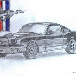 Автор Анастасия Петрусенко 