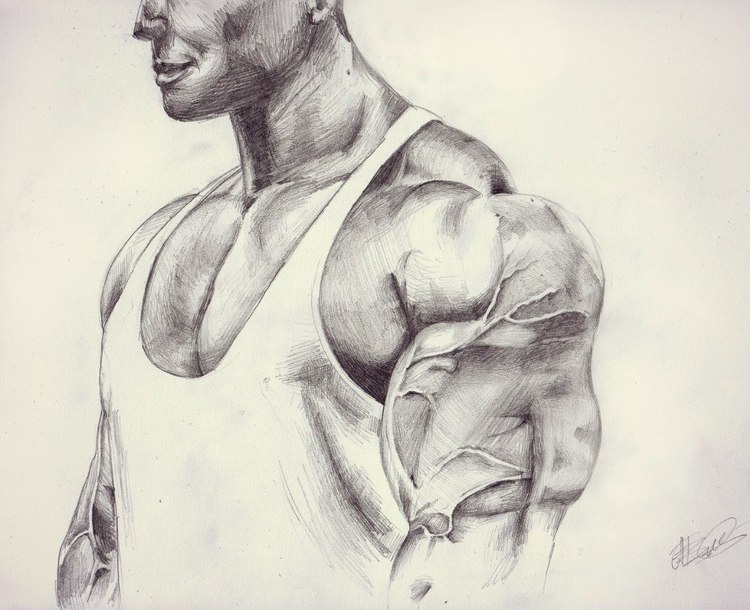 Автор Анастасия Петрусенко