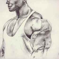 Автор Анастасия Петрусенко 