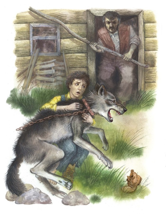 Волки читать краткое. Сетон Томпсон Виннипегский волк. Э Сетон-Томпсон Виннипегский волк 4 класс. Сетон-Томпсон Виннипегский волк рисунок. Сетон Томпсон волк.