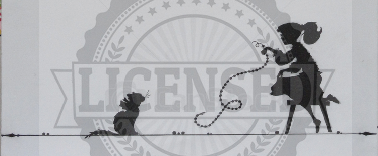 Девочка и кошка