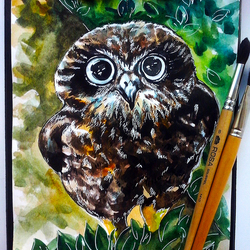 little owl^^