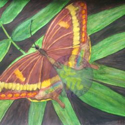 Бабочка на листике