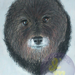 Банди. Вид сверху.