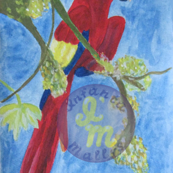 Взлетающий попугай