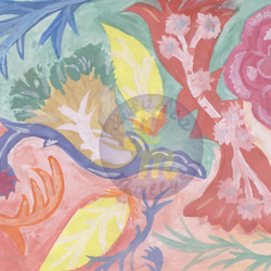 Волшебная страна