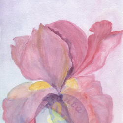 Волшебный цветок