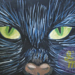 Кошачий взгляд
