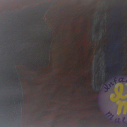 Кошка в темноте