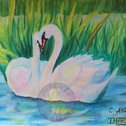 Пара лебедей