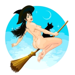 Witch flying on s broomstick with a cat