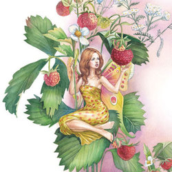 Фрагмент иллюстрации для упаковки косметической продукции. Цветочный эльф