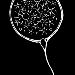 маленькое большое счастье