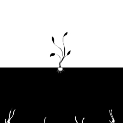 обратная сторона солнца