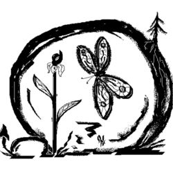 хрупкая красота севера