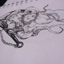 octopus