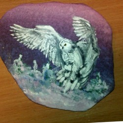 Камень песчанка