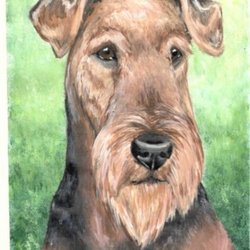 Эрдельтерьер