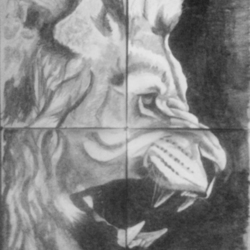 Лев большой