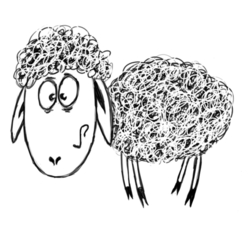 sheep