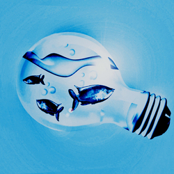 ЖИЗНЬ ВНУТРИ !