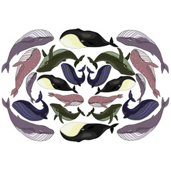 Китовая история