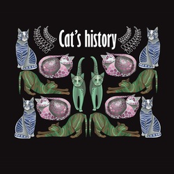 Cat's history