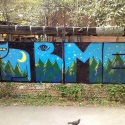 cat,tag,night woods