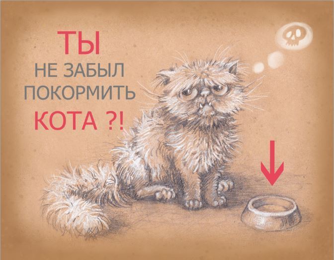 Покорми котика. Покорми кота. Покормить кота иллюстрация. А ты покормил кота. Покормите котика.