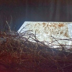 Соляной гроб (coffin made of salt, art object)