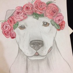 Питбуль в цветах