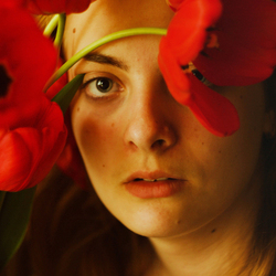 в тюльпанах